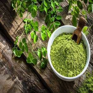 Proveedor Indio de Polvo de Moringa Puro y Natural de Primera Calidad para Alimentos, Bebidas, Cosméticos, Aplicaciones Industriales, Antioxidante y para el Cabello - Product Image 1