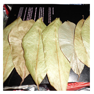 Hojas de Graviola Secas a Granel para Procesamiento de Ingredientes de Té Herbal, Producción de Bebidas y Suministro para Comercio Global - Product Image 1