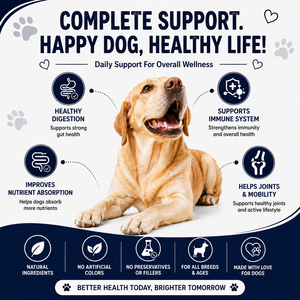 Friandises à mâcher molles pour chiens : Probiotiques pour les glandes anales, beurre de cacahuète, citrouille, enzymes digestives, contrôle des odeurs, soutien immunitaire, absorption rapide - Product Image 6