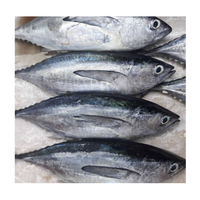 POISSON CONGELÉ EN GROS AVEC DE GRANDES QUANTITÉS D'EXPORTATION À DES PRIX BON MARCHÉ DES FOURNISSEURS VIETNAMIENS