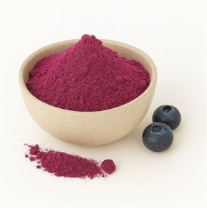High Quality Blueberry Fruit Powder Freeze Dried Vaccinium Corymbosum Powder Rich in Vitamin C for Natural Glow & Anti Aging - Product Image 1