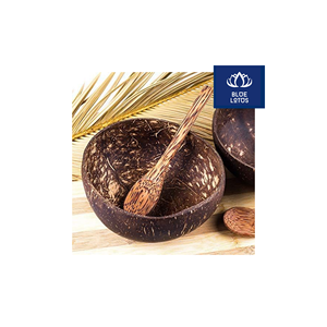 Expédition le jour même – Bol en coque de noix de coco écologique, sûr et propre, 100 % végétal, idéal pour servir des soupes et du riz – Prix avantageux - Product Image 1