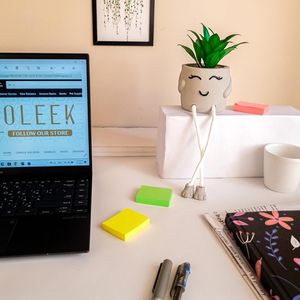 Piccole Piante Succulente Artificiali per Decorazione Scrivania Ufficio, Collezione di Piante Finte in Ceramica, Decorazioni per Ufficio e Lavoro - Product Image 4