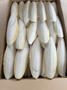 กระดูกปลาหมึกแห้งสำหรับสัตว์เลี้ยงสัตว์เลื้อยคลานปูฤาษี100% กระดูกปลาหมึกดิบสำหรับนกแก้ว/มิสซิสลิมา - Product Image 3