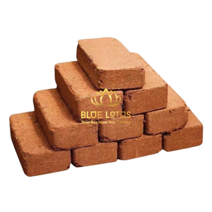 Meilleures ventes : Bloc de tourbe de coco 100 % naturel, écologique, biodégradable, faible teneur en EC, substrat de culture pour plantes - Product Image 1