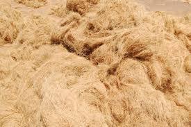 Fibra de Coco, Fibra de Cebada de Coco Densamente Compactada para Diseño de Cepillos para Colchones de Cuerda y Tapicería con Alta Retención de Agua - Product Image 6