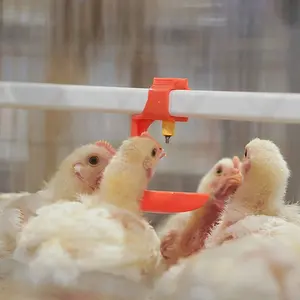 Efisiensi pemeliharaan Tinggi penjualan laris ABS Aloi baterai unggas kandang ayam ternak kandang broiler kandang