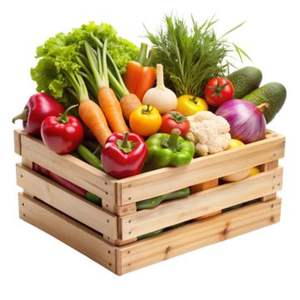 Galletas de Verduras 342g, Tamaño Grande, Galletas Saludables Horneadas, Precio de Fábrica en Vietnam - Product Image 3