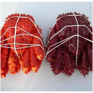 Cangrejo Rey al por Mayor / Patas de Cangrejo Rey Congeladas Más Vendidas al por Mayor / Compre Patas de Cangrejo Rey Rojo Canadiense - Product Image 6