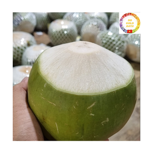 Noix de coco jeune et fraîche |   Capuchon à ouverture facile |   Eau douce naturelle pour boire |   Fournisseur en gros du Vietnam - Product Image 2