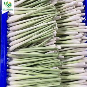 VIET THIEN PHU |   PULPA DE FRUTA DE LA PASIÓN CONGELADA IQF PREMIUM – ENVASADA AL VACÍO – CALIDAD DE EXPORTACIÓN DE VIETNAM - Product Image 4