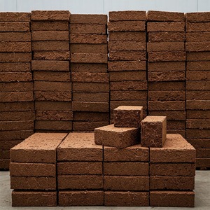 Bloc de tourbe de coco très demandé pour le mélange de terreau, les semis, l'hydroponie et l'agriculture biologique, disponible à prix réduit - Product Image 3
