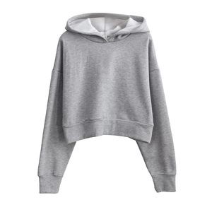 Sudadera Clásica para Mujer, Algodón Premium, Producción de Alta Calidad, OEM, ODM, Marca Privada, Pedidos al por Mayor - Product Image 3