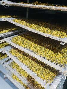 Dried Chamomile <b>Flowers</b> Natural Herbal Tea Vietnam Factory Bulk Supplier Manufacturer Export - Product Image 5