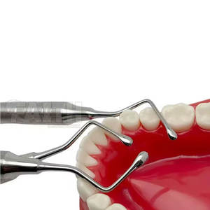 Gracey Dental de Diseño Único y Alta Calidad, Nuevo Gracey Dental Ligero - Product Image 5