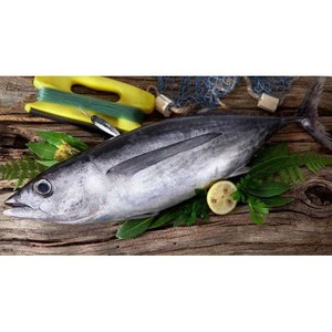 Atún Enlatado Salado, Capturado en Alta Mar, Sabor Fresco, 2 Años de Duración, para Compradores Internacionales - Product Image 5