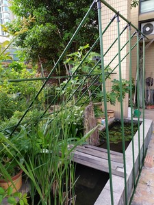 Plastic Coated Climbing Vine Rack Plastic <b>Gardening</b> Support Climbing <b>Pole</b> Plastic Coated Metal Stakes - Product Image 3