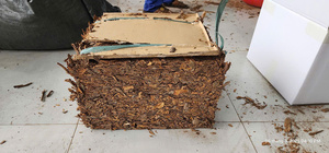 Écorce de Cassia brisée séchée brute à prix abordable, herbe aromatique unique, épice très demandée, origine Vietnam - Product Image 2