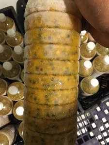 Fruta de la Pasión congelada entera o en cubos, fruta IQF, suministro a granel para jugo, tazón para batidos, fábrica, producto agrícola tropical de exportación - Product Image 4