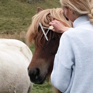 Peine de Aseo para Mascotas de Acero Inoxidable Ecológico, para Perros y Gatos, 48 Púas Redondeadas, Antioxidante, Profesional, para Eliminar el Pelo Suelto - Product Image 3