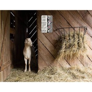 Targa Decorativa Vintage in Latta con Scritta 'Live Someone Left Gate Open' per Casa, Fattoria, Recinzione, Cucina, Bagno, Camera da Letto - Product Image 5