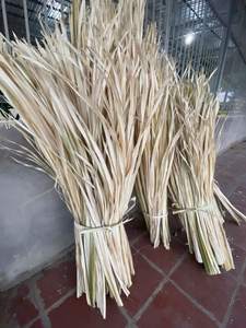 Proveedor de hojas de palma secas, fábrica de hojas de palma secas, hojas de palma secas al por mayor directamente de fábrica, fabricante de decoración ecológica para el hogar - Product Image 5