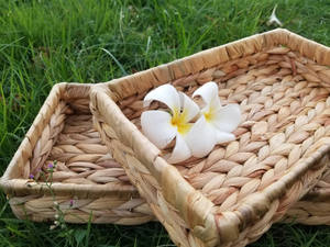 Juego de 2 bandejas rectangulares de jacinto de agua, ideales para almacenamiento en la cocina y la sala de estar. - Product Image 6