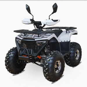 Quad tout-terrain adulte Chithan 125cc 4 temps à transmission par chaîne automatique 1000W essence 4x4 avec blocage de différentiel CE 3 ans OEM ODM DIY - Product Image 4