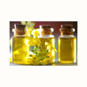 Buy best 100% Crude & Refined Rapeseed Oil/Canola Oil For Sale - Product Image 4