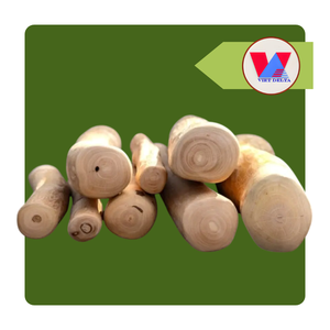 Bâton à mâcher en bois de café avec corde en coton, jouet naturel pour la dentition, soins dentaires, soulagement du stress, pour toutes les races de chiens, pack d'exportation - Product Image 1