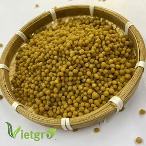 VIETGRO - DAP Granular 16-45 Color Amarillo de Vietnam - Product Image 4