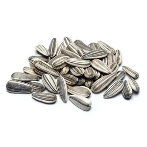 Semi di girasole tonnellata prezzo semi di girasole semi di sole semi di girasole a righe crude