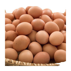 Fournisseur en gros d'œufs de poule brun frais de ferme, production avicole fiable - Product Image 2
