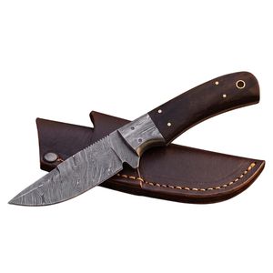 Couteau de chasse compact avec lame en acier durable, poignée confortable pour la randonnée, la pêche, les aventures en plein air, vente en gros, fourniture personnalisée - Product Image 1