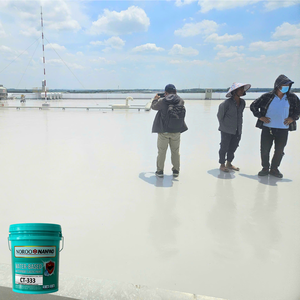 สีเคลือบกันน้ำแบบสูตรน้ำส่วนประกอบเดียวสำหรับป้องกันพื้นผิวคอนกรีตหลังคา CT-333 - Product Image 2