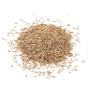 Vente en gros usine FitTree International Graines de cumin 100% pures du Gujarat, Inde - Stockage à froid et à sec, Herbes et épices individuelles - Product Image 6