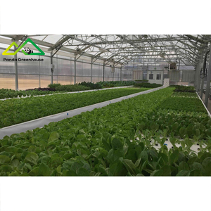 Système de serre aquaponique pour l'élevage commercial de poissons et de légumes, écosystème durable - Product Image 2