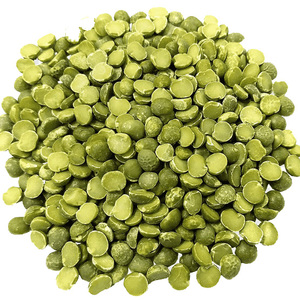 Lentejas verdes enteras canadienses de alta calidad, lentejas verdes orgánicas secas disponibles para la venta a bajo precio - Product Image 1