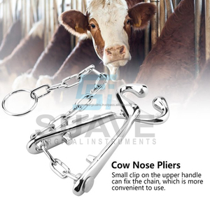 SUAVE INSTRUMENTS DE SURGICAL Pince-nez de vache réutilisable Porte-taureau en acier inoxydable avec chaîne Instruments vétérinaires - Product Image 3