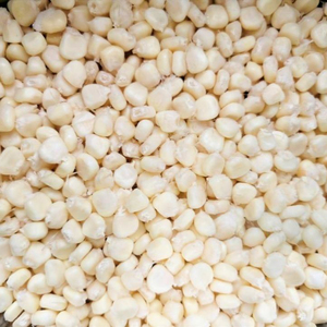 ข้าวโพดขาวคุณภาพพรีเมียม เกรดอาหาร ขายส่ง ราคาดีที่สุด พร้อมส่งออกจำนวนมาก - Product Image 2