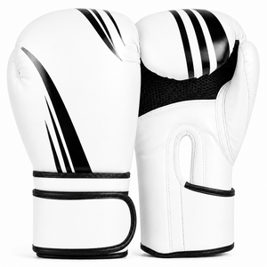 Équipement de boxe de haute qualité - Product Image 2
