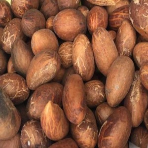 Graines de Kola Amère Naturelles Sélectionnées avec Soin – Produit Herbal Séché pour Détaillants et Acheteurs Commerciaux - Product Image 4