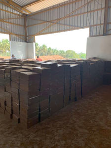 Bloques de coco sostenibles de Vietnam, medio de cultivo de turba respetuoso con el medio ambiente para hidroponía, jardinería, invernadero, agricultura - Product Image 3