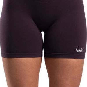 <b>Womens</b> Dark Plum High Waist Gymwear <b>Shorts</b> Stretch <b>Compression</b> Workout Fitness Training Yoga Activewear Performance Wear - Product Image 5