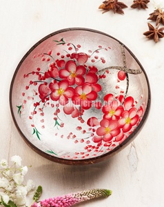 Cuencos de Coco Hechos a Mano al por Mayor, Vajilla Sostenible de Cáscara de Coco Natural para Cocina, Comedor y Decoración del Hogar - Product Image 4