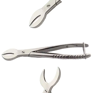 2025 Customized Reusable Electric <b>Plaster</b> Cutting Pliers & Scissors Dental Instruments Bone Cutter German Grade Stainless Steel - Product Image 2