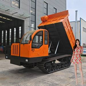 Buena Garantía Minidumper 500kg 100kg Mini Dumper - Product Image 4