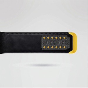 Ceinture de champion en cuir avec logo doré orné, texte rouge, cadre décoratif et plaques latérales personnalisables sur quatre côtés - Product Image 5