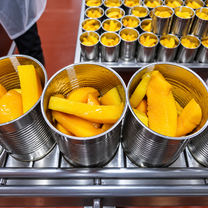 Mango enlatado premium de Vietnam - Rodajas y cubos de mango enlatados en jarabe natural delicioso con el MEJOR PRECIO/ Sra. Alina - Product Image 3