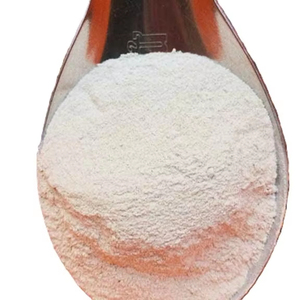 Cuttlefish Bone <b>Powder</b> Dried Metal Polishing Abrasive Material Bulk Vacuum Sealed PA/PE Bags 0.1kg Premium Quality Fine <b>Texture</b> - Product Image 1